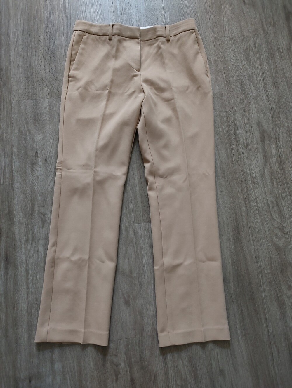 New Ann Taylor  Dress Pants